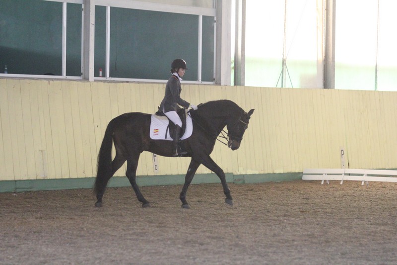 Buena actuación de la amazona navarra Claudia Lazkoz en el CPEDI*** de Portugal